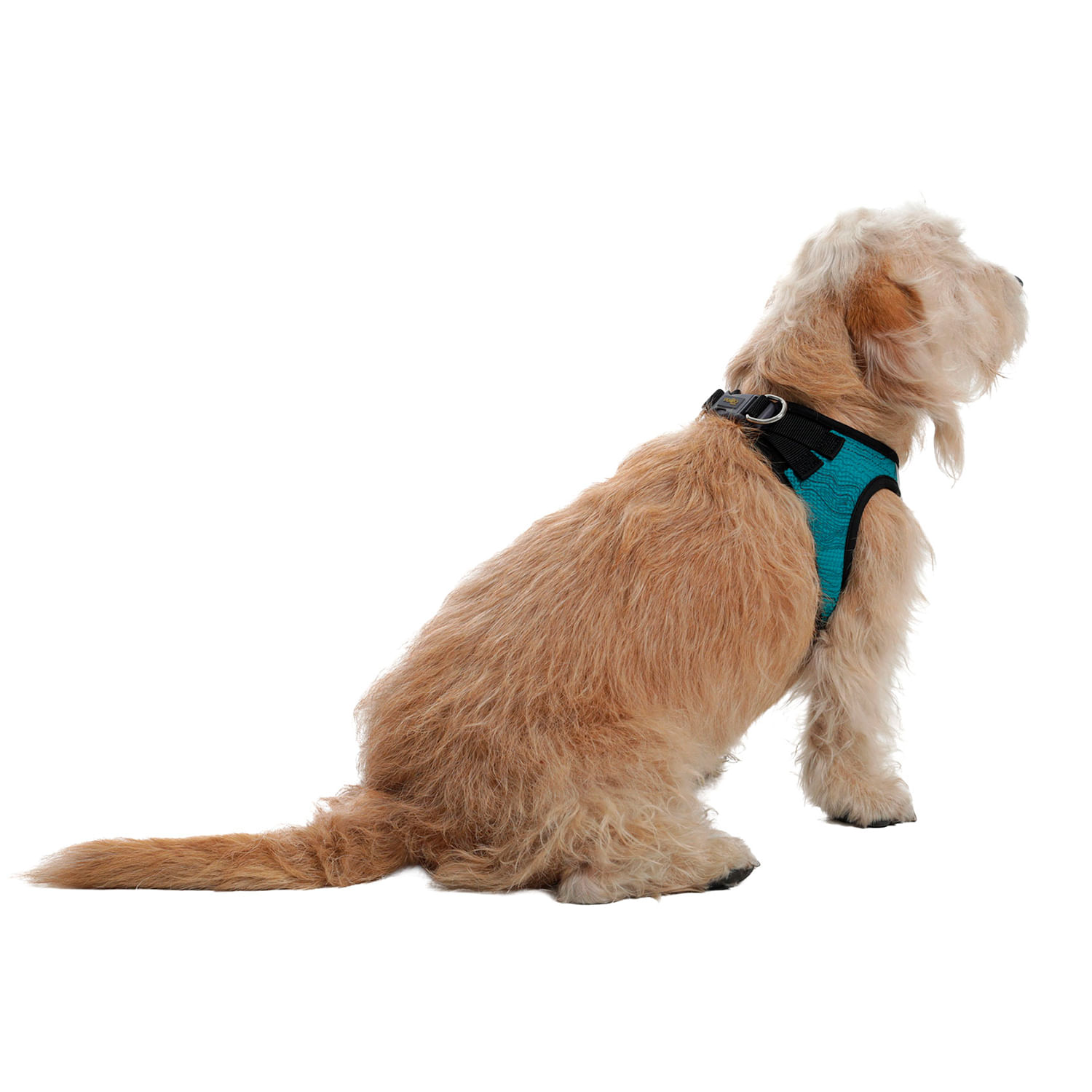 Arnés Pechera para Perro-Gato Toby M Verde