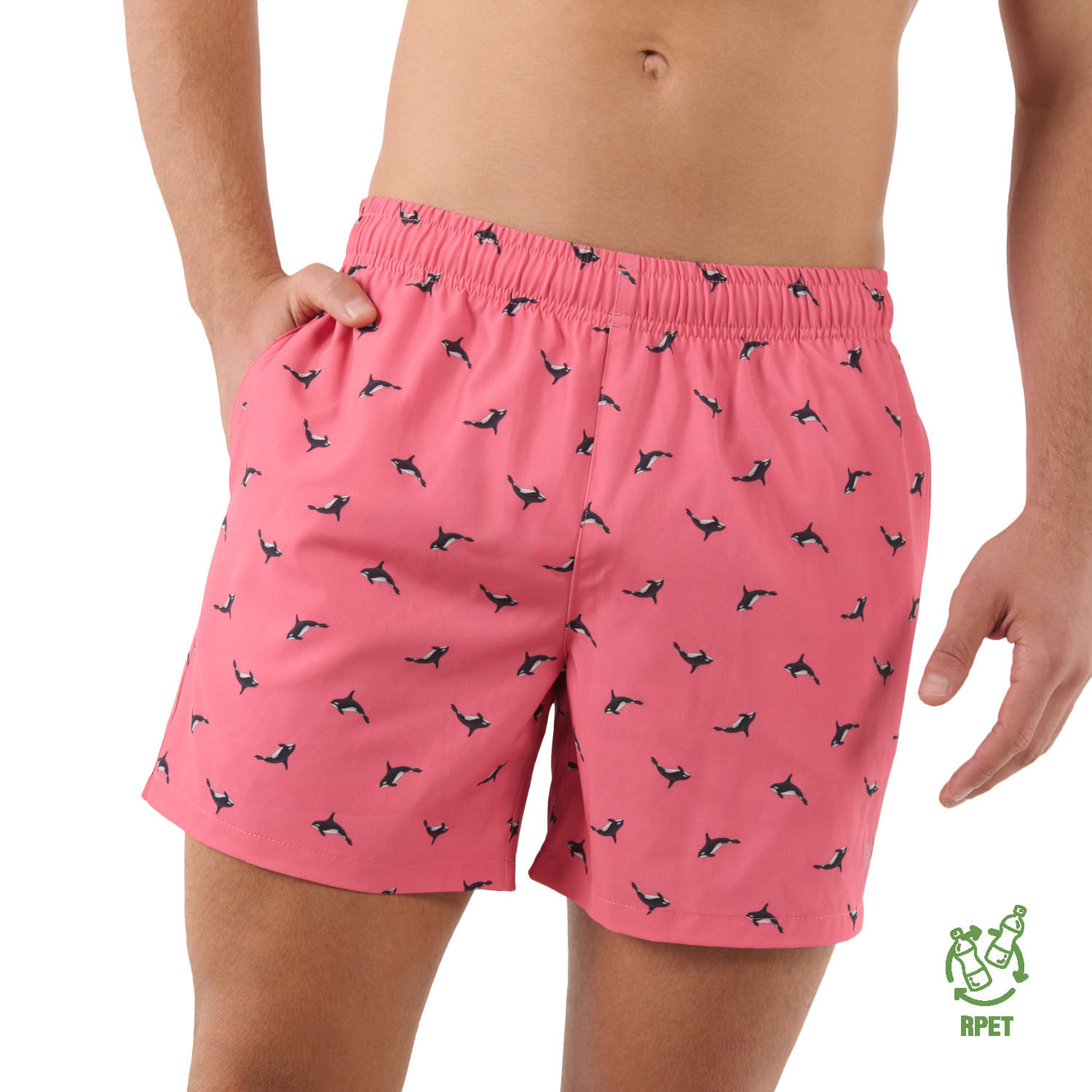 Pantalonetas Playeras Pantalonetas Modernas Pantaloneta Lennox