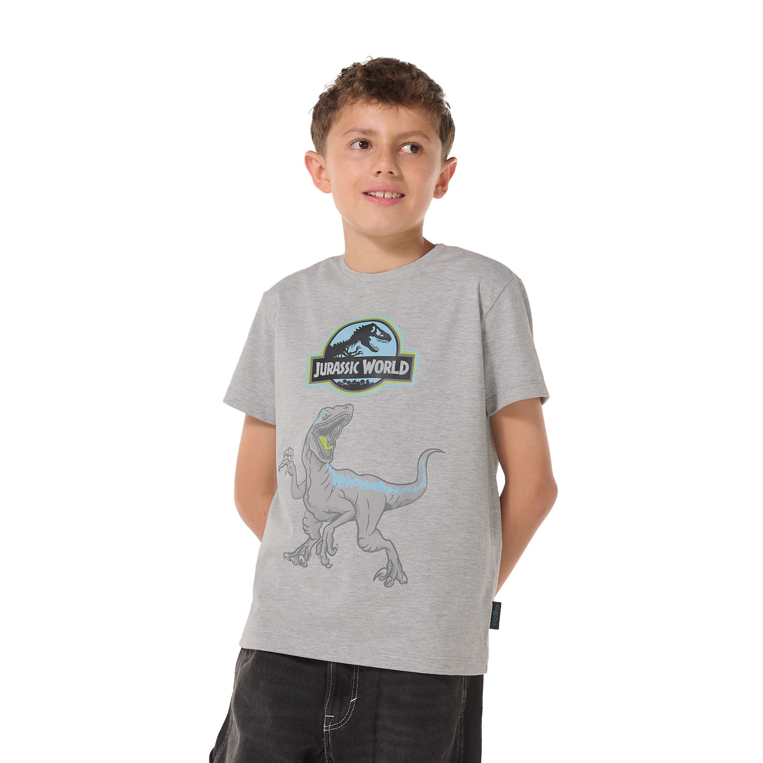 Dinosaurios Playera Jurassic Park NiÃ±o Birthday Dinosaurios Para