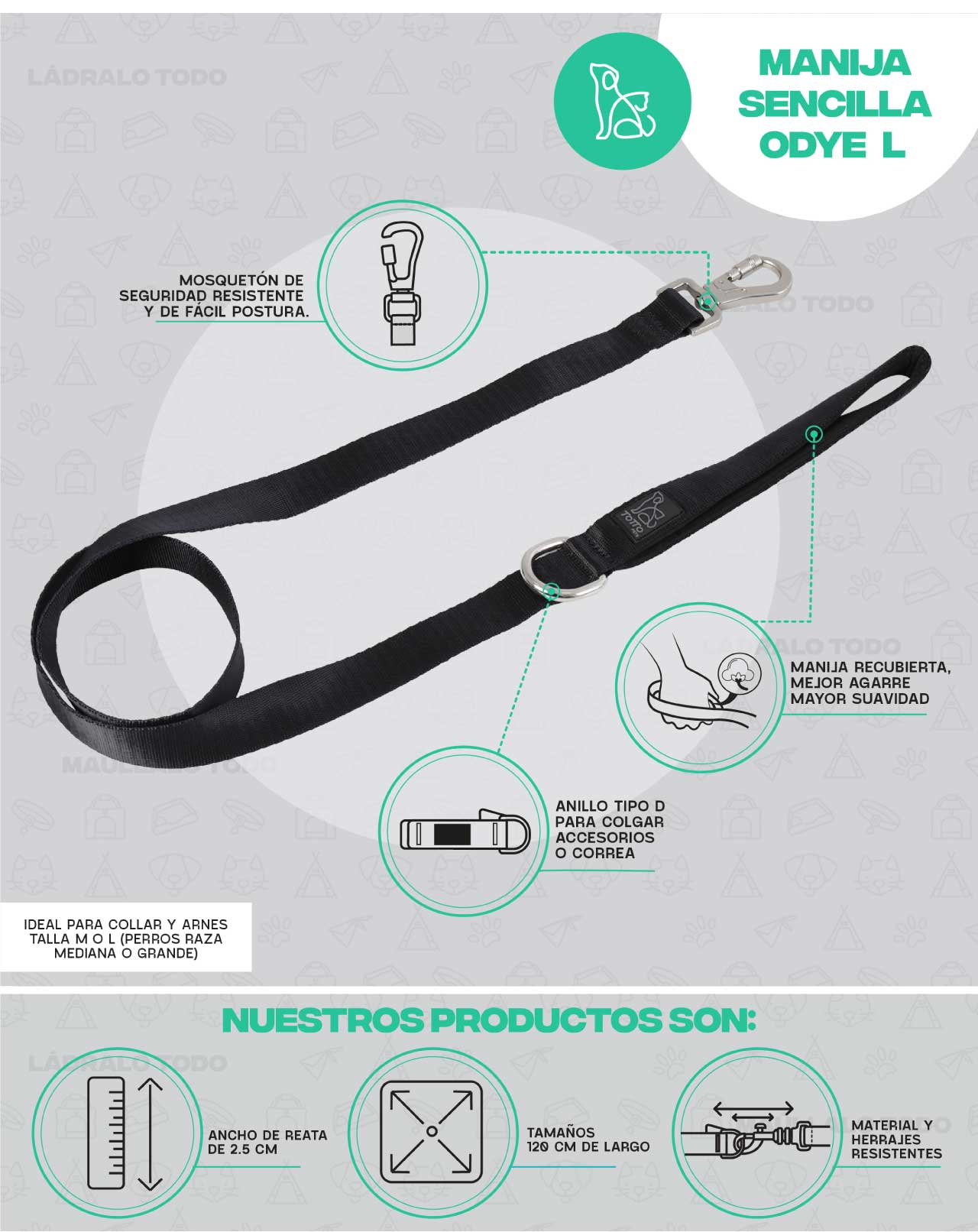 Infografía Correa sencilla manija Odye