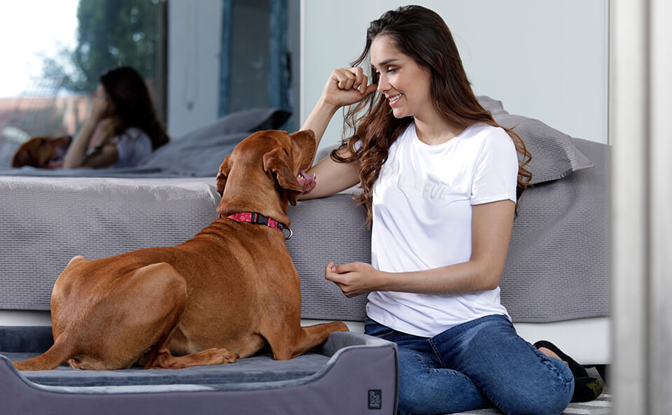 Collar Mylu Totto Pets