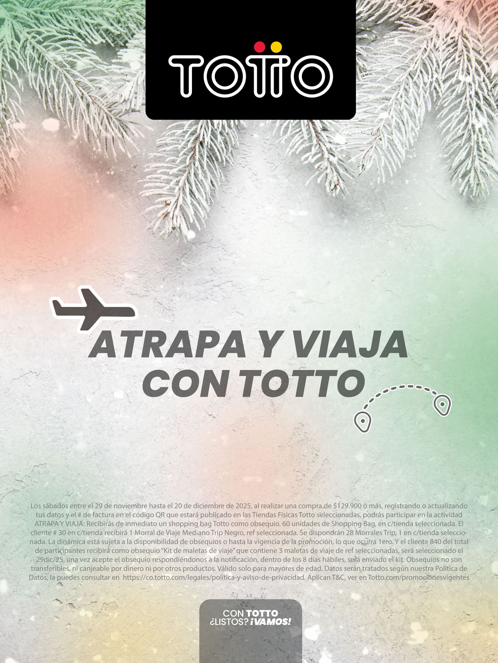 Atrapa y viaja con Totto