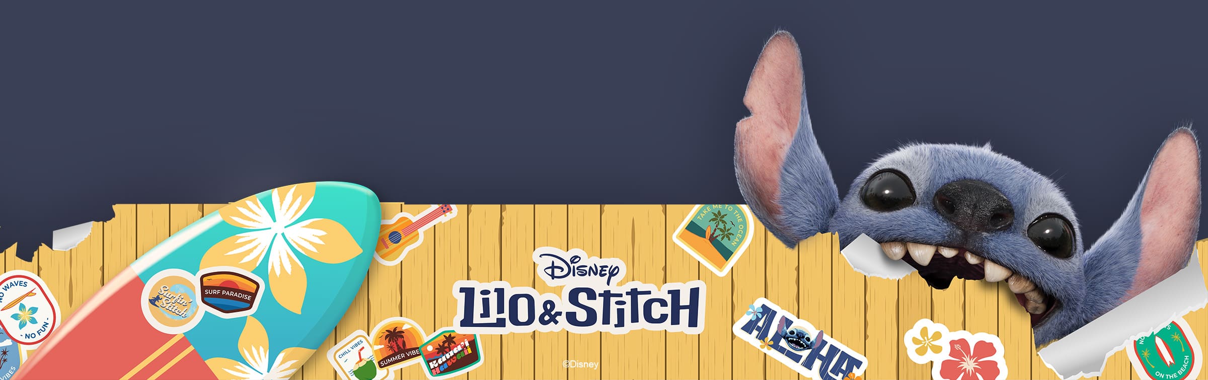 Coleccion-stitch