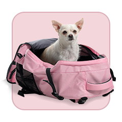 Travel pets